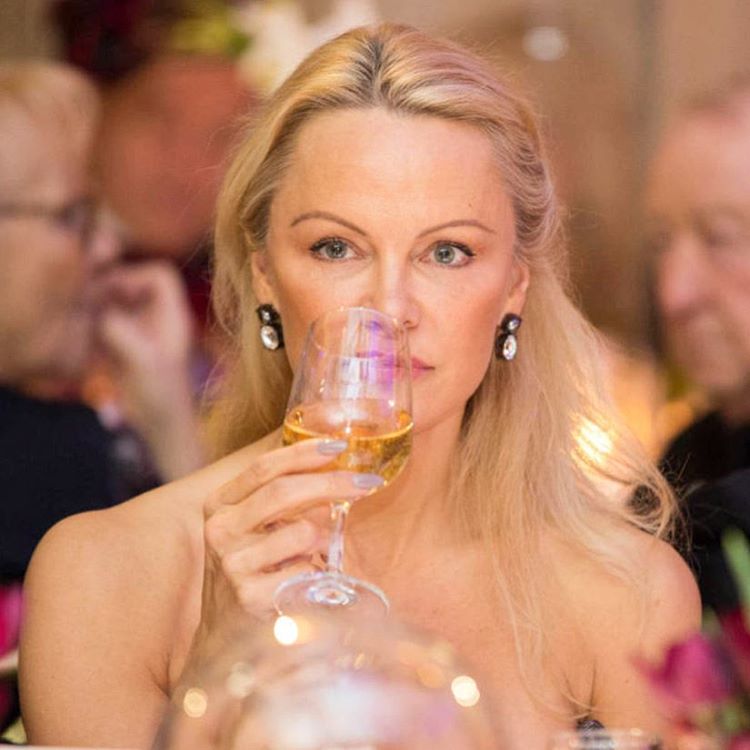 16123841 1268650999896375 7125543884448333824 n