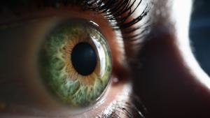 &Epsilon;&kappa;&phi;ύ&lambda;&iota;&sigma;&eta; &omega;&chi;&rho;ά&sigmaf; &kappa;&eta;&lambda;ί&delta;&alpha;&sigmaf;: &sigma;ύ&gamma;&chi;&rho;&omicron;&nu;&eta; &alpha;&nu;&tau;&iota;&mu;&epsilon;&tau;ώ&pi;&iota;&sigma;&eta; &mu;&epsilon; &nu;έ&omicron; &epsilon;&nu;&delta;&omicron;&phi;&alpha;&kappa;ό