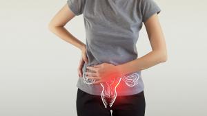 &Kappa;&alpha;&rho;&kappa;ί&nu;&omicron;&sigmaf; &omega;&omicron;&theta;&eta;&kappa;ώ&nu;: &Pi;&omicron;&iota;&omicron;&sigmaf; &omicron; &rho;ό&lambda;&omicron;&sigmaf; &tau;&omega;&nu; &Gamma;&upsilon;&nu;&alpha;&iota;&kappa;&omicron;&lambda;ό&gamma;&omega;&nu;-&Omicron;&gamma;&kappa;&omicron;&lambda;ό&gamma;&omega;&nu; &sigma;&tau;&eta;&nu; &pi;&rho;ό&lambda;&eta;&psi;&eta; &tau;&eta;&sigmaf; &nu;ό&sigma;&omicron;&upsilon;;