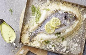 &Kappa;&rho;&omicron;ύ&sigma;&tau;&alpha; &alpha;&lambda;&alpha;&tau;&iota;&omicron;ύ: Έ&tau;&sigma;&iota; &gamma;ί&nu;&epsilon;&tau;&alpha;&iota; &tau;&omicron; &nu;&omicron;&sigma;&tau;&iota;&mu;ό&tau;&epsilon;&rho;&omicron; &psi;ά&rho;&iota;