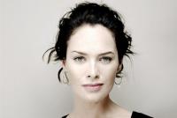 &Tau;&iota; &sigma;&upsilon;&mu;&beta;&alpha;ί&nu;&epsilon;&iota; &sigma;&tau;&omicron; &delta;έ&rho;&mu;&alpha; &sigma;&omicron;&upsilon; &mu;ό&lambda;&iota;&sigmaf; &gamma;ί&nu;&epsilon;&sigma;&alpha;&iota; 40;