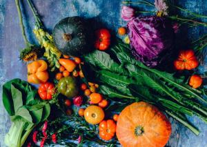 &Delta;&iota;&alpha;&tau;&rho;&omicron;&phi;ή &gamma;&iota;&alpha; &alpha;&pi;ώ&lambda;&epsilon;&iota;&alpha; &kappa;&iota;&lambda;ώ&nu; &alpha;&nu; έ&chi;&epsilon;&tau;&epsilon; &pi;&omicron;&lambda;&upsilon;&kappa;&upsilon;&sigma;&tau;&iota;&kappa;έ&sigmaf; &omega;&omicron;&theta;ή&kappa;&epsilon;&sigmaf;