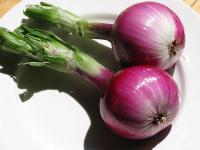 10 &alpha;&pi;ί&theta;&alpha;&nu;&epsilon;&sigmaf; &delta;&rho;ά&sigma;&epsilon;&iota;&sigmaf; &tau;&omicron;&upsilon; &kappa;&rho;&epsilon;&mu;&mu;&upsilon;&delta;&iota;&omicron;ύ &pi;&omicron;&upsilon; &theta;&alpha; &sigma;&alpha;&sigmaf; &lambda;ύ&sigma;&omicron;&upsilon;&nu; &tau;&alpha; &chi;έ&rho;&iota;&alpha;